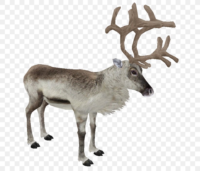 Zoo Tycoon 2 White-tailed Deer Moose, PNG, 700x700px, Zoo Tycoon 2, Animal, Antler, Barrenground Caribou, Deer Download Free