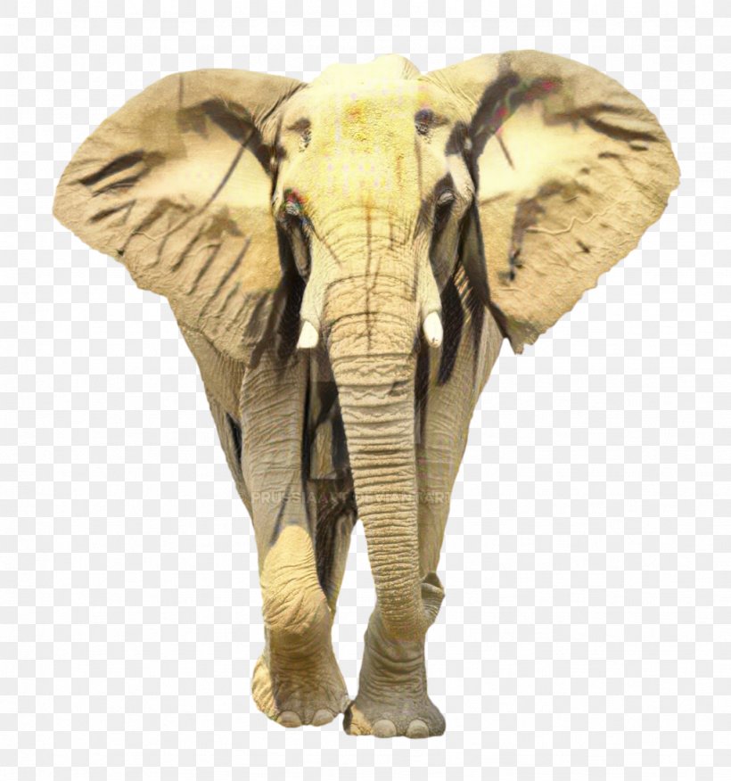 Apple IPhone 7 Plus IPhone X Indian Elephant IPhone SE IPhone 5s, PNG, 1023x1094px, Apple Iphone 7 Plus, African Elephant, Animal Figure, Apple Iphone 8, Apple Iphone 8 Plus Download Free