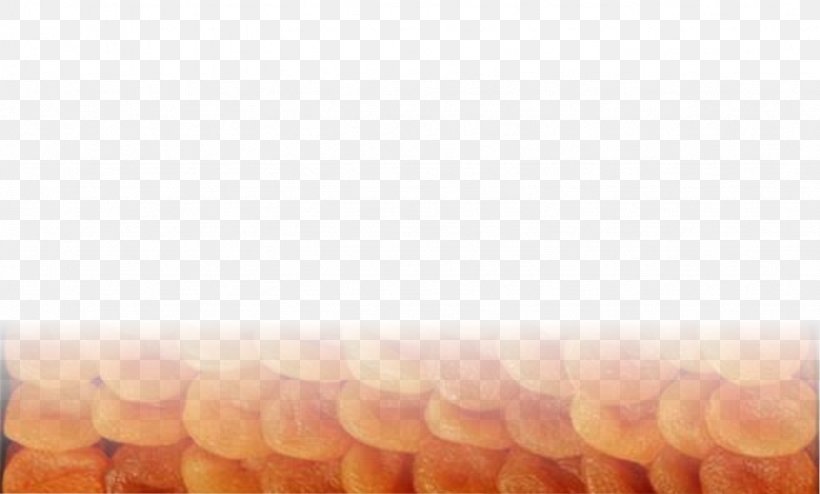 Close-up, PNG, 1331x802px, Closeup, Orange Download Free