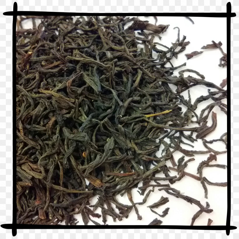 Assam Tea Baihao Yinzhen Keemun Nilgiri Tea, PNG, 1000x1000px, Tea, Assam Tea, Bai Mudan, Baihao Yinzhen, Bancha Download Free