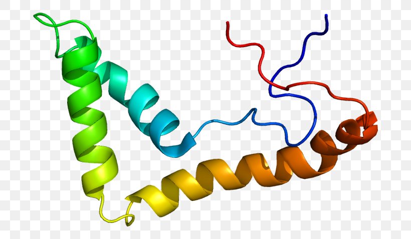 UBTF Protein Transcription Factor Kinase Nucleolus Organizer Region, PNG, 738x477px, Protein, Area, Artwork, Casein, Casein Kinase 2 Alpha 1 Download Free