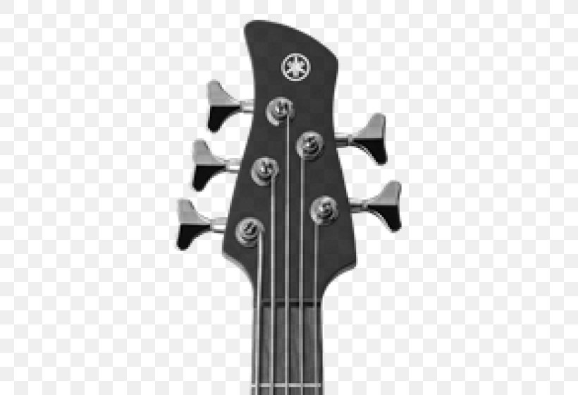 5 String Bass Bass Guitar Double Bass, PNG, 560x560px, Watercolor, Cartoon, Flower, Frame, Heart Download Free