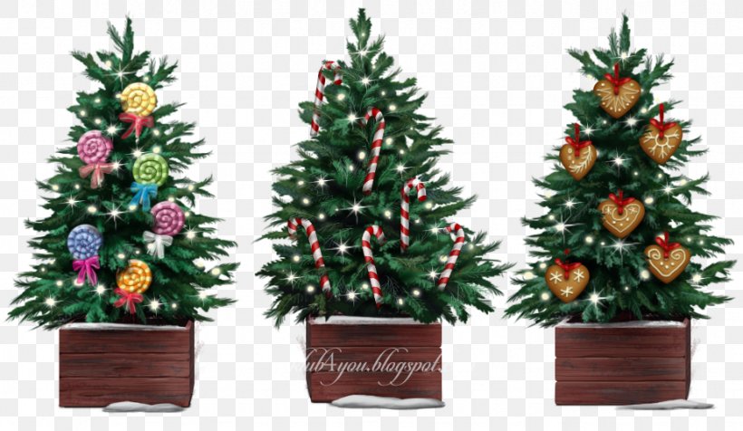 Christmas Tree Spruce Christmas Ornament Fir Pine, PNG, 925x538px, Christmas Tree, Christmas, Christmas Decoration, Christmas Ornament, Conifer Download Free