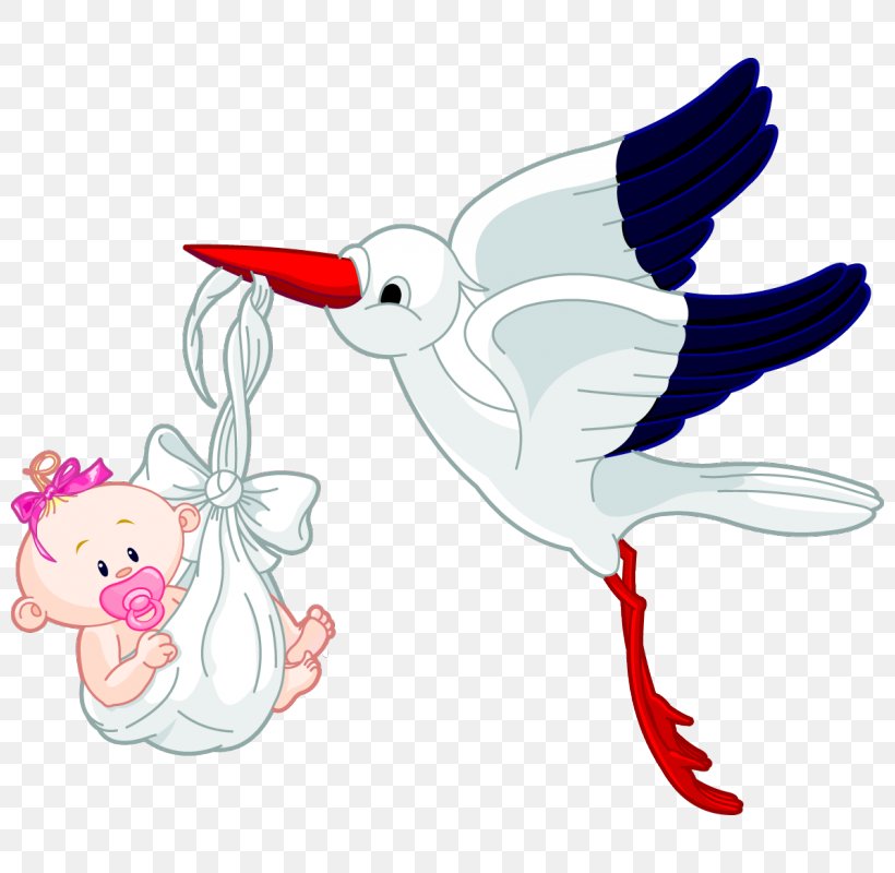 Bird Infant Royalty-free Clip Art, PNG, 800x800px, Bird, Art, Artwork, Baby Announcement, Beak Download Free