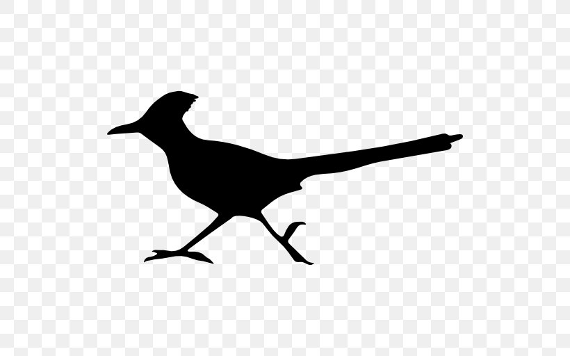Download, PNG, 512x512px, Wile E Coyote And The Road Runner, Beak, Bird, Black And White, Branch Download Free