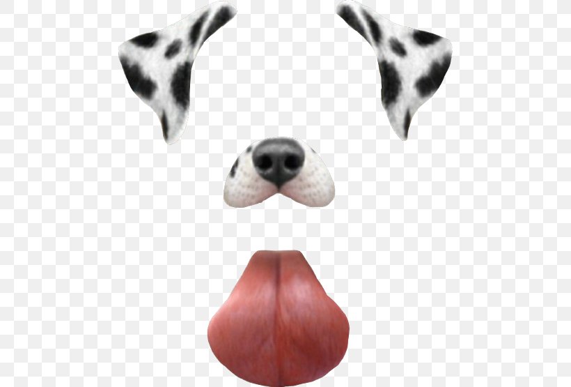 Dalmatian Dog Snapchat Dancing Hot Dog Clip Art, PNG, 480x555px, Dalmatian Dog, Carnivoran, Computer, Dalmatian, Dancing Hot Dog Download Free