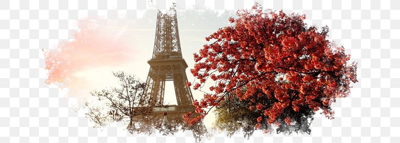 Eiffel Tower Passy Cemetery Android Wallpaper, PNG, 650x293px, Eiffel Tower, Android, Arrondissement Of Paris, Autumn, Branch Download Free
