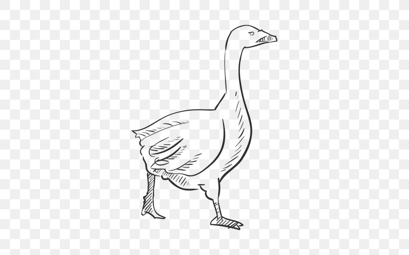 Goose Duck Drawing Ganso Sketch, PNG, 512x512px, Goose, Artwork, Beak, Bird, Black And White Download Free