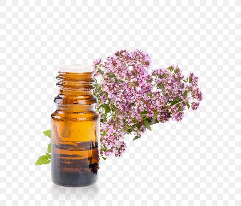 Marjoram Essential Oil Herb Rosemary, PNG, 700x700px, Marjoram, Aromatherapy, Bottle, Breckland Thyme, Buddleia Download Free