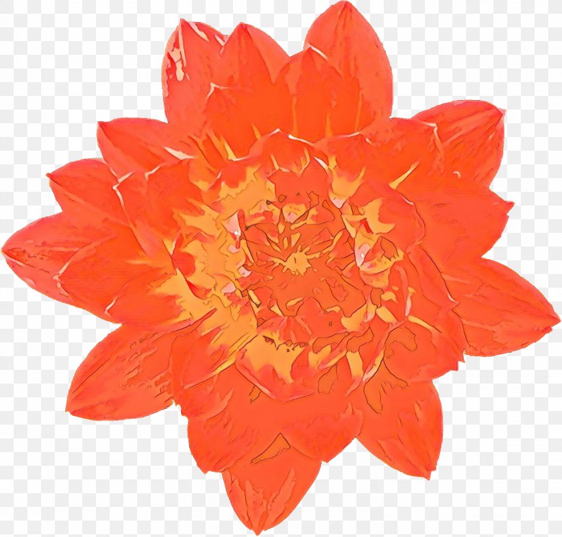 Orange, PNG, 1503x1438px, Cartoon, Cut Flowers, Flower, Flowering Plant, Orange Download Free