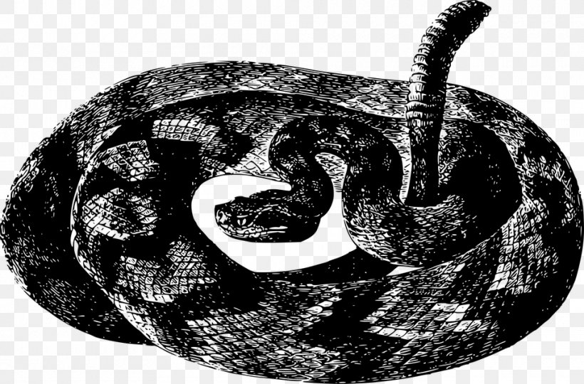 Rattlesnake Vipers Clip Art, PNG, 960x633px, Snake, Basilisk, Black And White, Black Mamba, Boa Constrictor Download Free