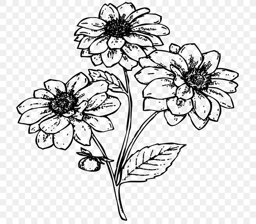 Floral Design Flower /m/02csf Black & White, PNG, 720x720px, Floral Design, Art, Black White M, Blackandwhite, Botany Download Free