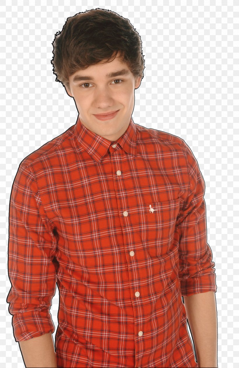 Liam Payne Wolverhampton Where We Are Tour One Direction My Life Would Suck Without You, PNG, 1024x1572px, Watercolor, Cartoon, Flower, Frame, Heart Download Free