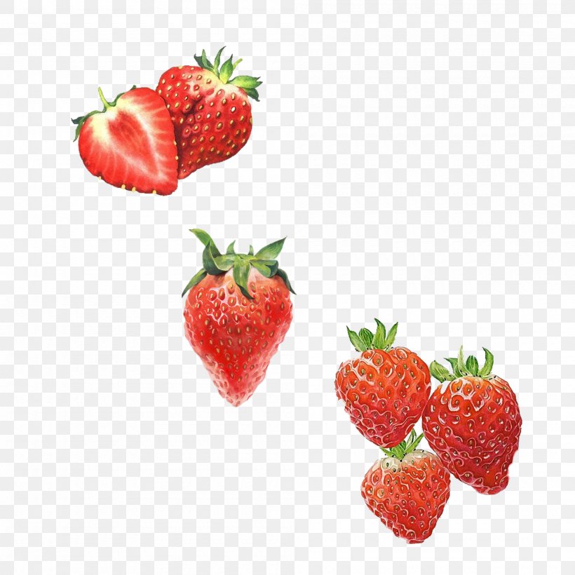 Amorodo Drawing Computer File, PNG, 2000x2000px, Amorodo, Berry, Drawing, Food, Fruit Download Free