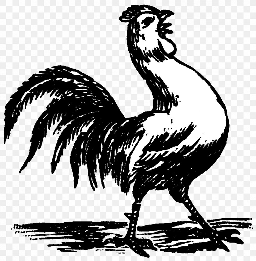 Chicken Gallo Negro Gamecock Rooster Drawing, PNG, 1171x1194px, Chicken, Art, Beak, Bird, Black And White Download Free