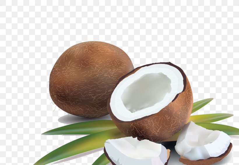 Coconut Water Coconut Milk Royalty-free, PNG, 1075x744px, Coconut Water, Arecaceae, Coconut, Coconut Milk, Food Download Free