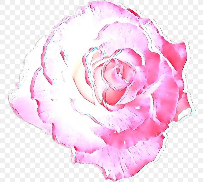 Garden Roses, PNG, 760x737px, Cartoon, Cut Flowers, Flower, Garden Roses, Hybrid Tea Rose Download Free