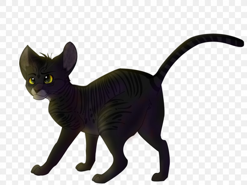 Korat Black Cat Kitten Whiskers Domestic Short-haired Cat, PNG, 1024x768px, Korat, Black, Black Cat, Black M, Burmese Download Free