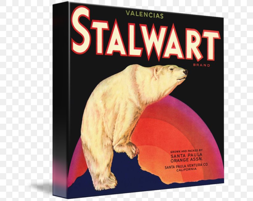 Polar Bear Carnivores Advertising Fauna, PNG, 649x650px, Polar Bear, Advertising, Art, Bear, Brand Download Free