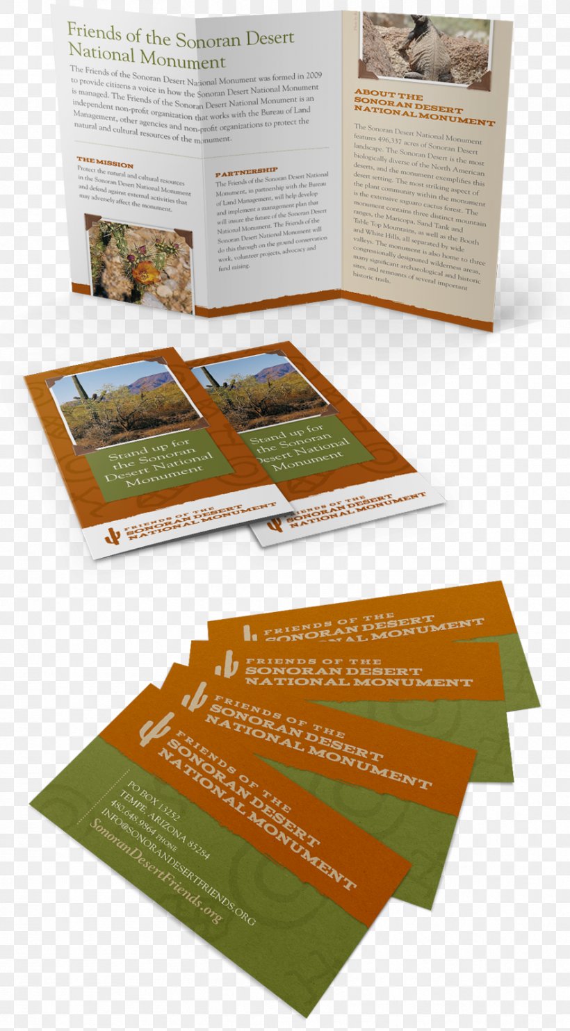 Brochure, PNG, 882x1597px, Brochure Download Free