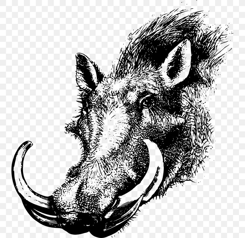 Common Warthog Wild Boar Clip Art, PNG, 744x797px, Common Warthog, Black And White, Drawing, Fauna, Head Download Free
