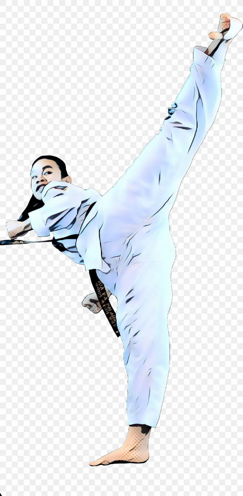 Costume, PNG, 1466x2998px, Costume, Baguazhang, Choi Kwangdo, Contact Sport, Individual Sports Download Free