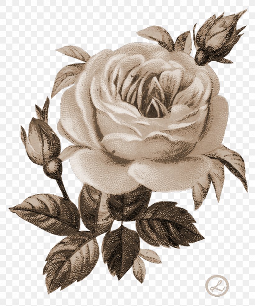 Flower Digital Image Clip Art, PNG, 900x1080px, Flower, Decoupage, Digital Image, Flowering Plant, Microsoft Paint Download Free