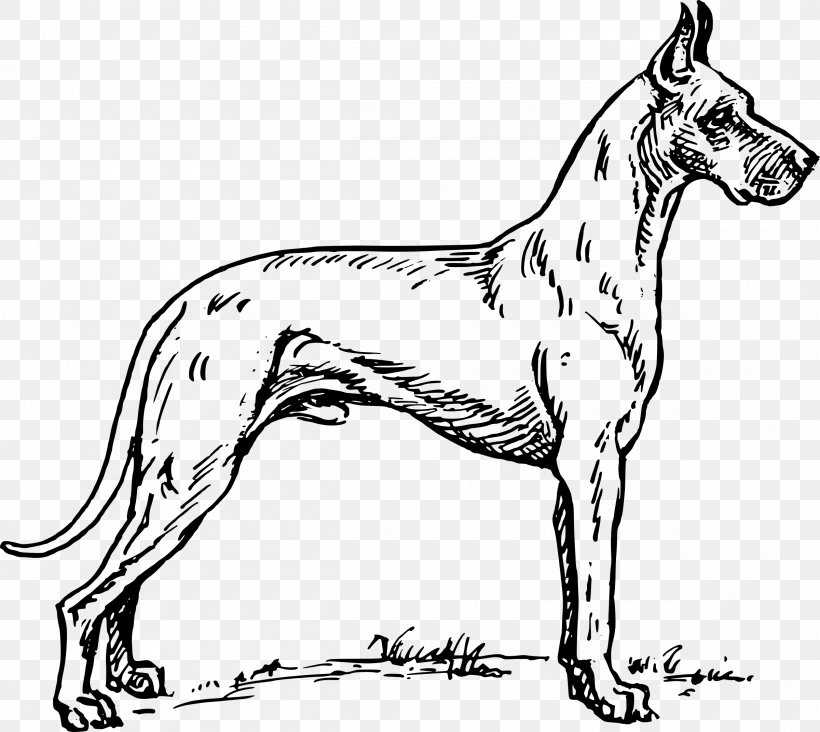 Great Dane Bulldog Boxer Dobermann Puppy, PNG, 2400x2144px, Great Dane, Black And White, Boxer, Bulldog, Carnivoran Download Free