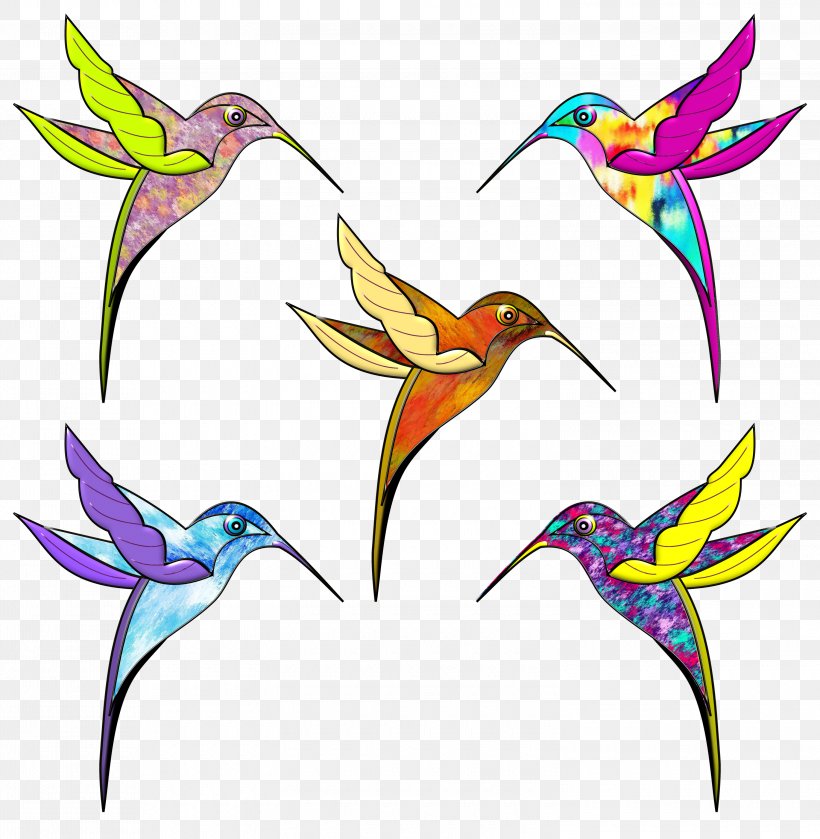 How to Draw a Cartoon Hummingbird