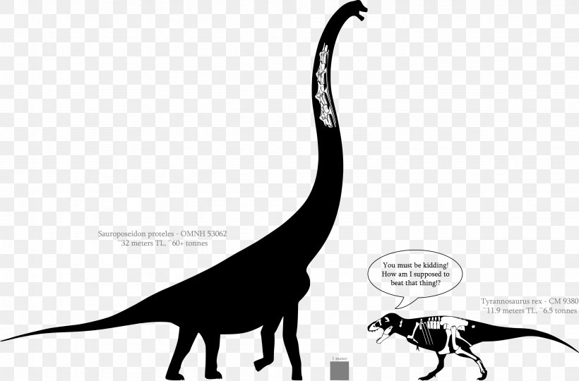 Sauroposeidon Dinosaur Size Tyrannosaurus Aptian Brachiosaurus, PNG, 3078x2028px, Sauroposeidon, Albian, Aptian, Argentinosaurus, Black And White Download Free