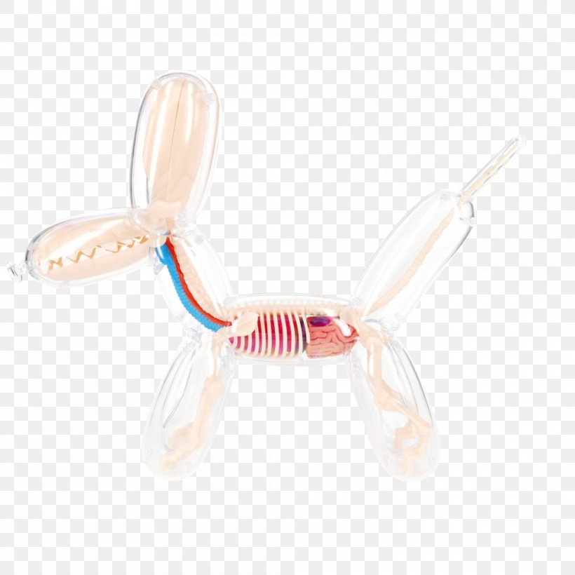 Balloon Dog Dog Anatomy Human Skeleton, PNG, 1000x1000px, Watercolor, Cartoon, Flower, Frame, Heart Download Free