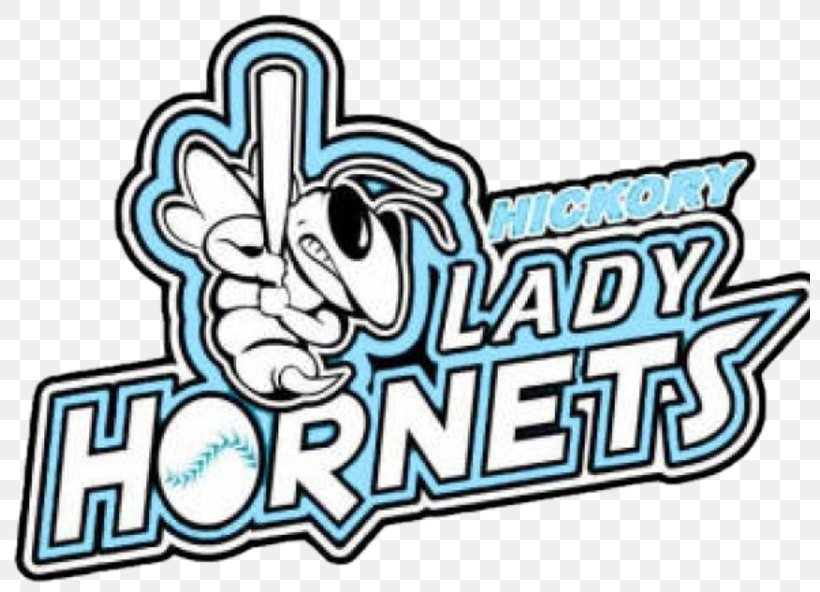 Charlotte Hornets Bad Homburg Hornets Softball Baseball, PNG, 800x592px, Hornet, Area, Art, Bad Homburg Hornets, Ball Download Free