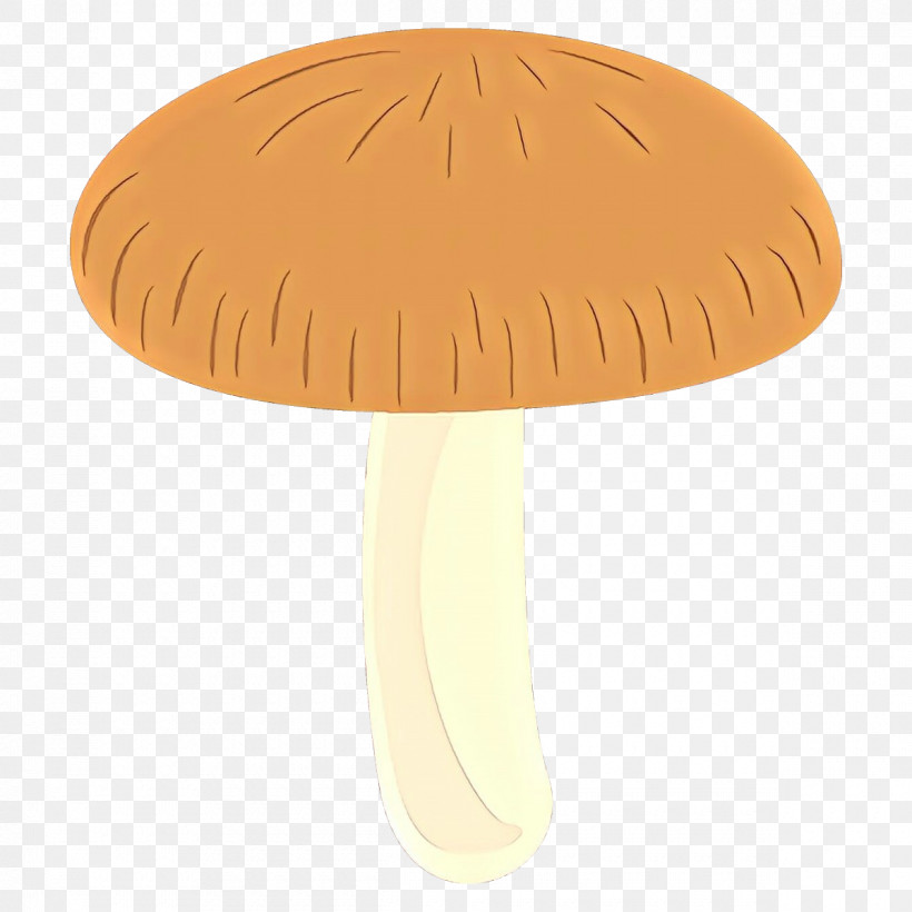 Mushroom Fungus Table, PNG, 1200x1200px, Mushroom, Fungus, Table Download Free