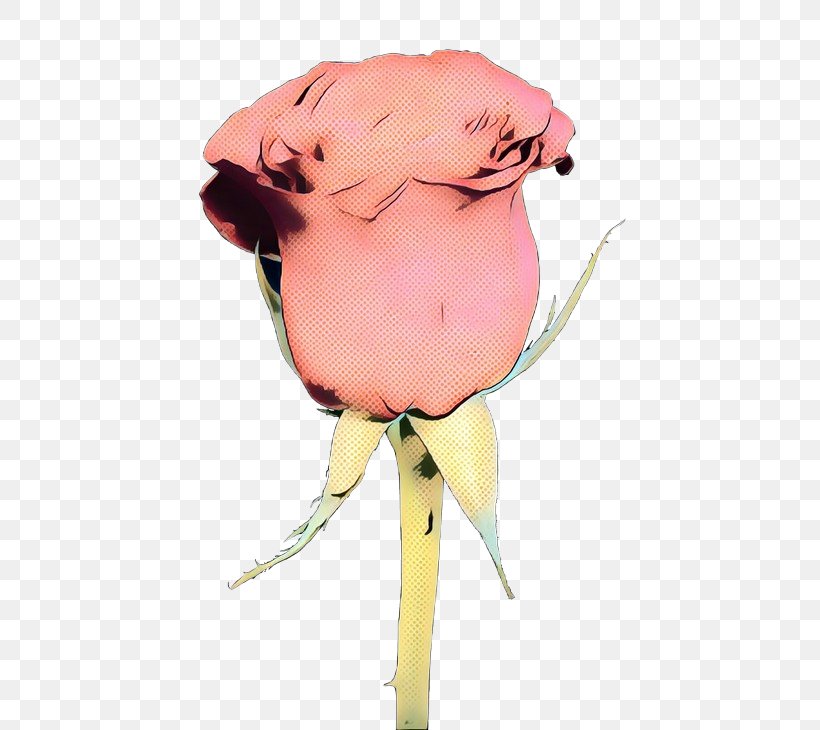 Pink Flower Cartoon, PNG, 500x730px, Rose Family, Flower, Pink, Pink M, Plant Download Free
