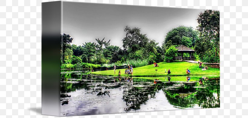 Water Resources Landscaping Property Pond, PNG, 650x389px, Water Resources, Estate, Grass, Home, House Download Free