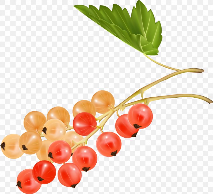 Zante Currant Cherry Auglis Grape, PNG, 1309x1194px, Zante Currant, Auglis, Banana, Berry, Blueberry Download Free