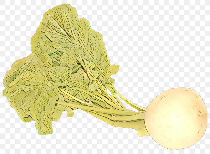 Vegetable Turnip Food Leaf Vegetable Wild Cabbage, PNG, 800x600px, Vegetable, Cabbage, Food, Leaf Vegetable, Plant Download Free