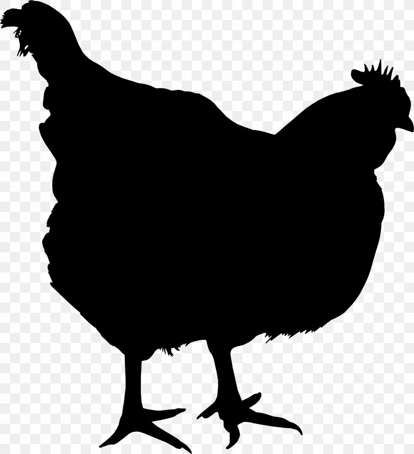 Chicken Broiler Breed Meat Poultry Farming, PNG, 2055x2256px, Chicken, Animal, Beak, Bird, Blackandwhite Download Free