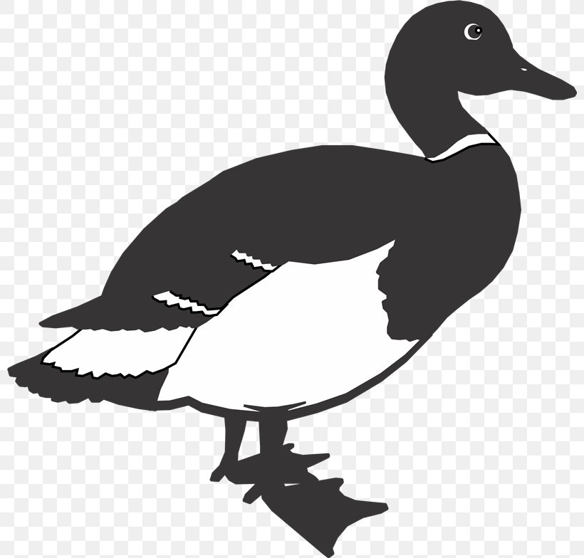 Duck Goose Bird Vector Space, PNG, 800x784px, Duck, Beak, Bird, Black And White, Drawing Download Free