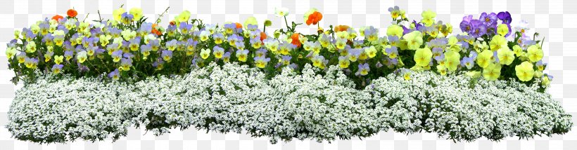 Flower, PNG, 4400x1150px, Flower, Cut Flowers, Flower Garden, Flowering Plant, Grass Download Free