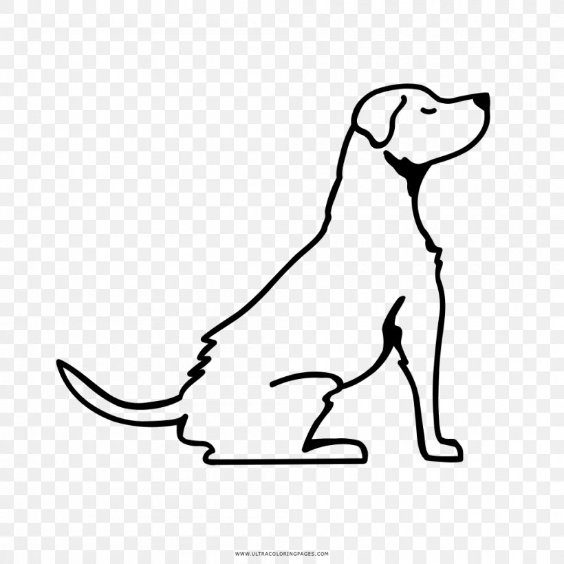 Cat Drawing Labrador Retriever German Shepherd Line Art, PNG, 1000x1000px, Cat, Area, Artwork, Black, Black And White Download Free