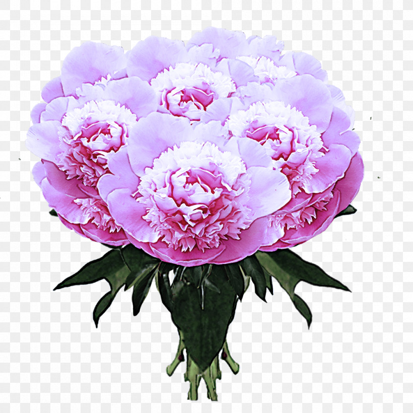 Floral Design, PNG, 1000x1000px, Peony, Color, Common Peony, Cut Flowers, Floral Design Download Free