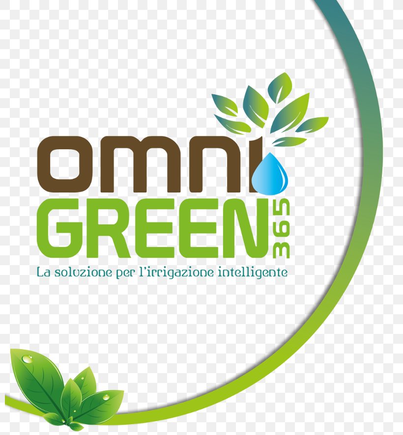 Logo Brand Green Font Leaf, PNG, 800x886px, Logo, Area, Brand, Green, Leaf Download Free