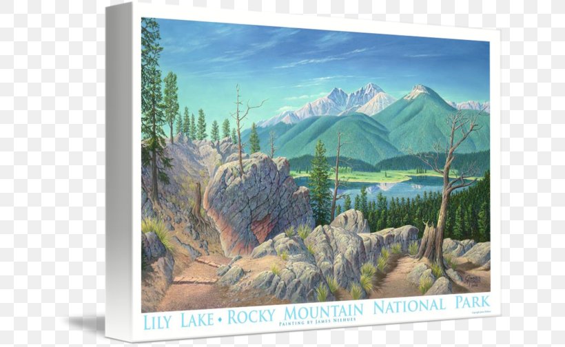 Painting Lily Lake Gallery Wrap Tree Canvas, PNG, 650x504px, Painting, Art, Canvas, Colorado, Ecosystem Download Free