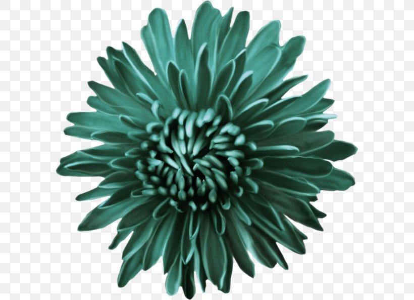 Clip Art Flower Image Vector Graphics, PNG, 600x593px, Flower, Art, Aster, China Aster, Chrysanths Download Free