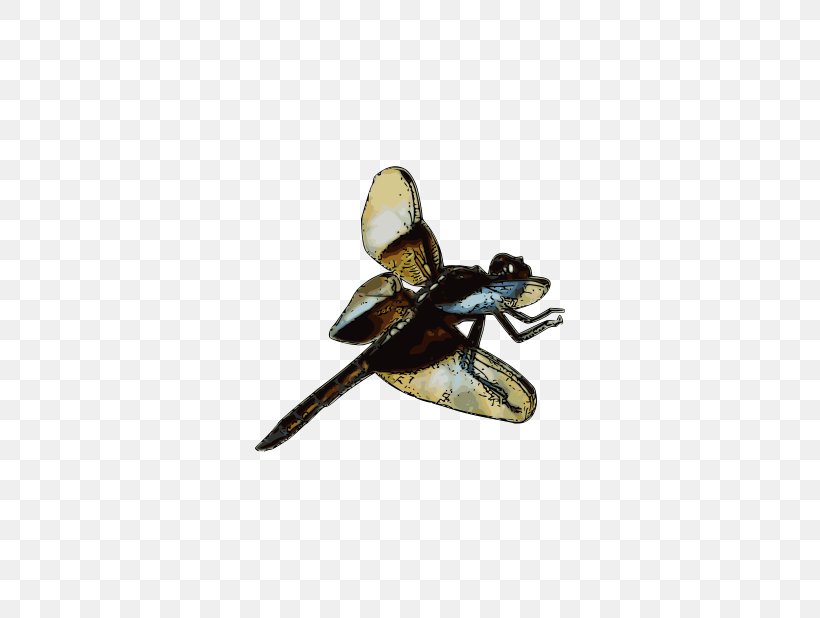 Clip Art, PNG, 800x618px, Insect, Computer Mouse, Desktop Computers, Figurine, Invertebrate Download Free