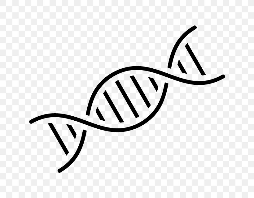 DNA Nucleic Acid Double Helix Genetics, PNG, 800x640px, Dna, Area, Biology, Black, Black And White Download Free