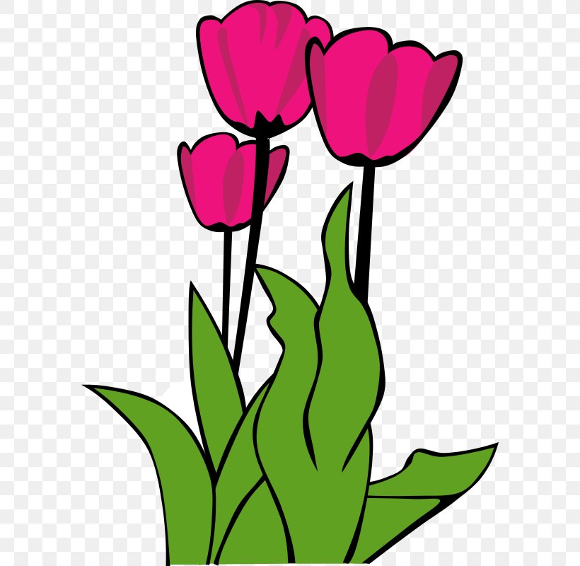 Free Content Tulipa Gesneriana Flower Clip Art, PNG, 800x800px, Free Content, Artwork, Blog, Cut Flowers, Flora Download Free