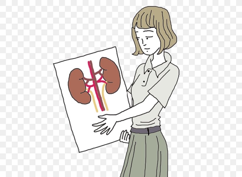 Kidney Pain Thumb Kidney Transplantation Kidney Stone, PNG, 600x600px, Watercolor, Cartoon, Flower, Frame, Heart Download Free