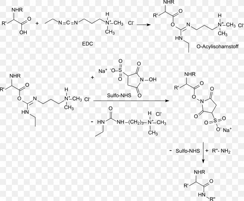 N-Hydroxysulfosuccinimide Sodium Salt N-Hydroxysuccinimide Hydroxybenzotriazole PH Carboxylic Acid, PNG, 2000x1645px, Nhydroxysuccinimide, Acid, Area, Black And White, Carboxylic Acid Download Free